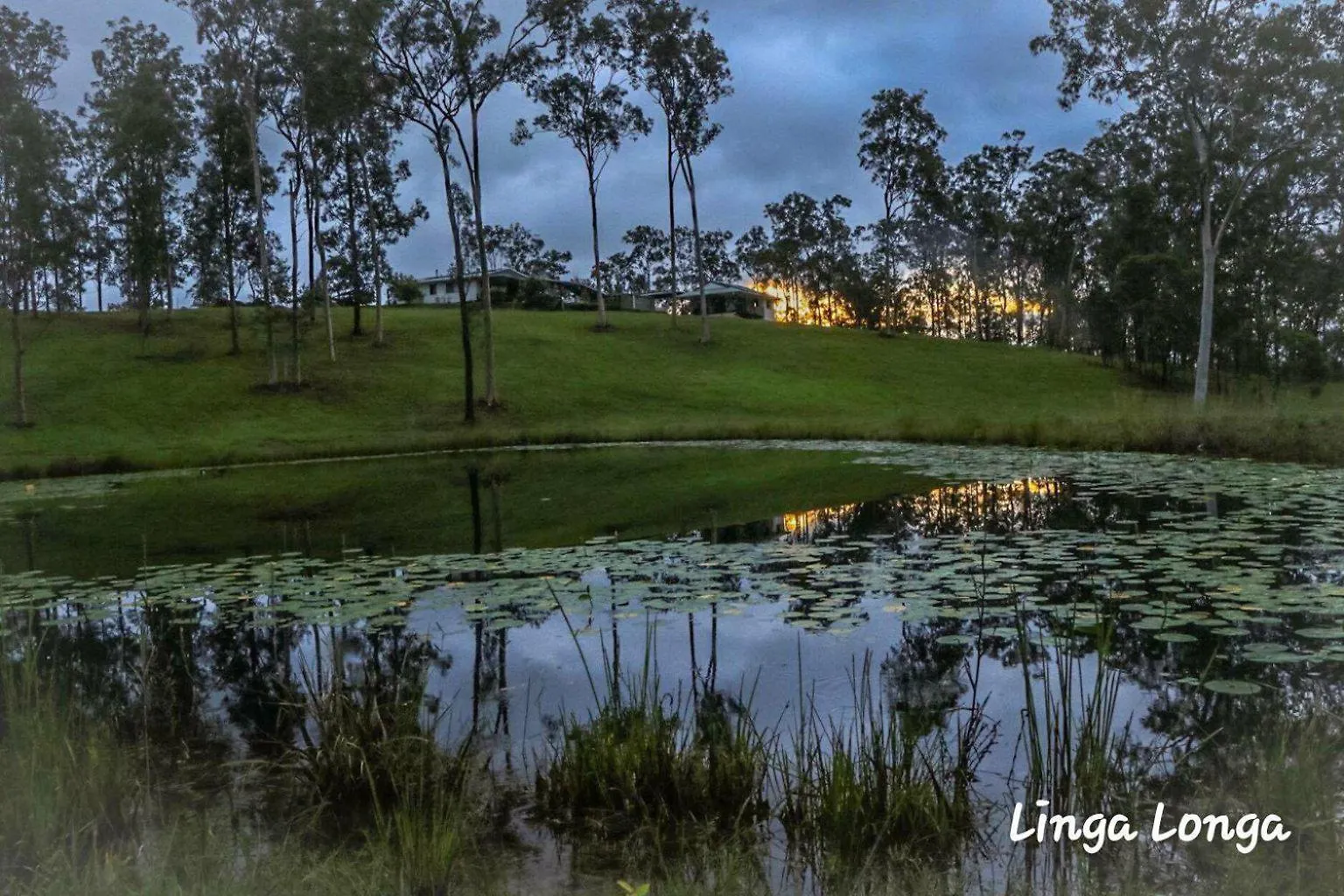 Linga Longa Spiritual Glamping Retreat Hotel Curra